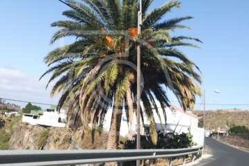 Luminaria en el suelo en la carretera de Lomo Magullo (Foto TA)